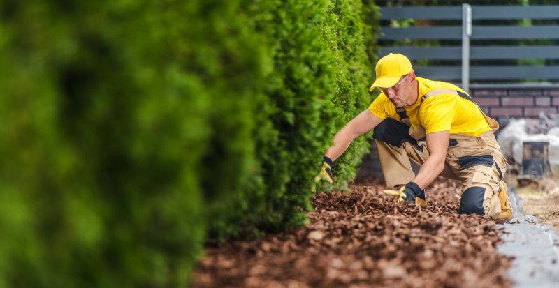 Contact About Mulch