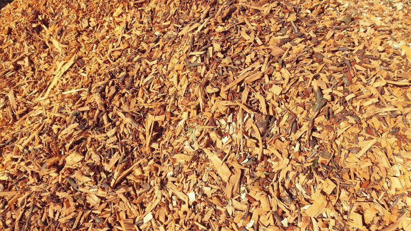 Wood Chip Mulch